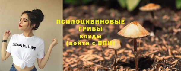 соль ск Балахна